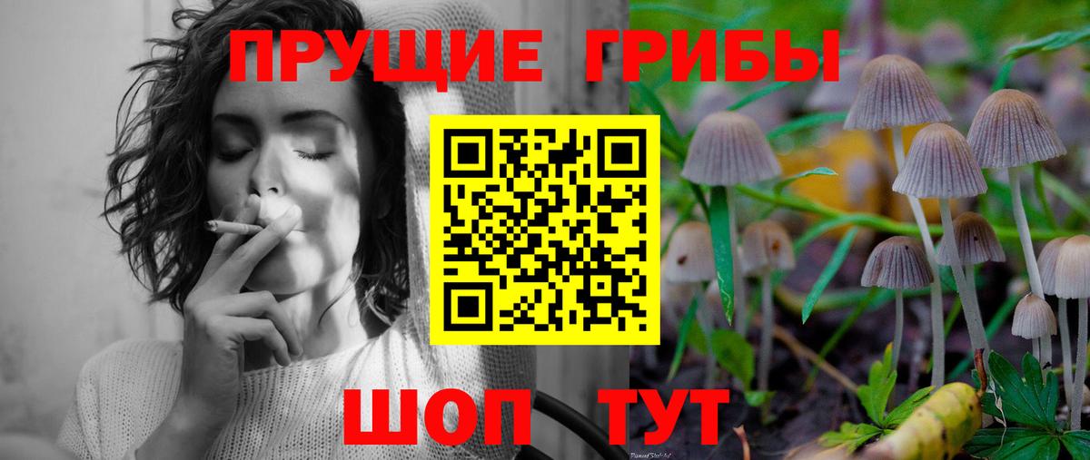 Галлюциногенные грибы Cubensis Йошкар-Ола